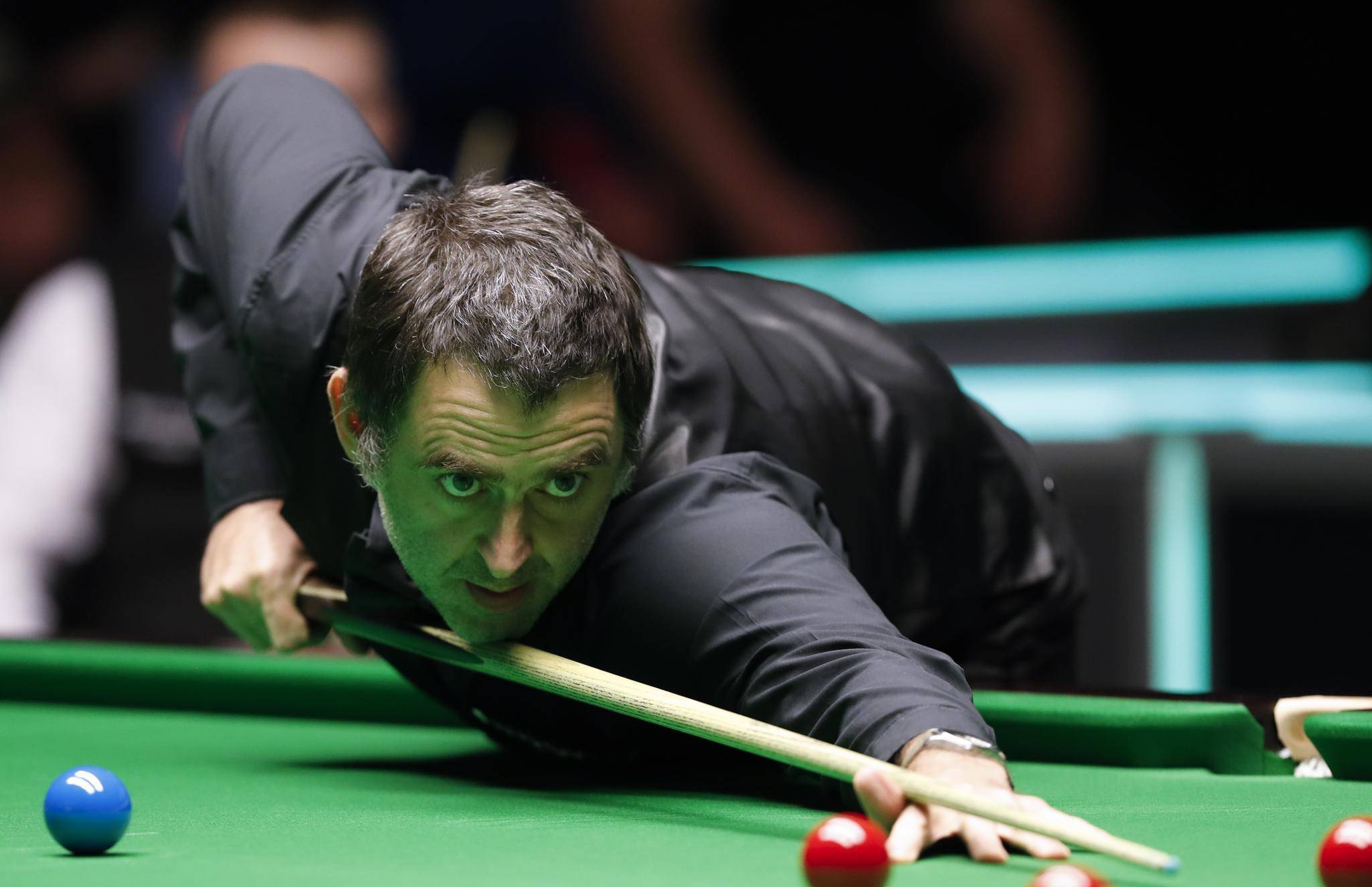 期待他们的 期待他们的