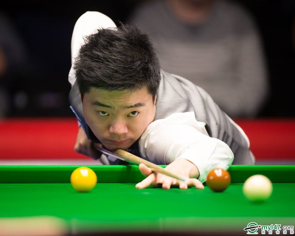 转发量高 转发量高