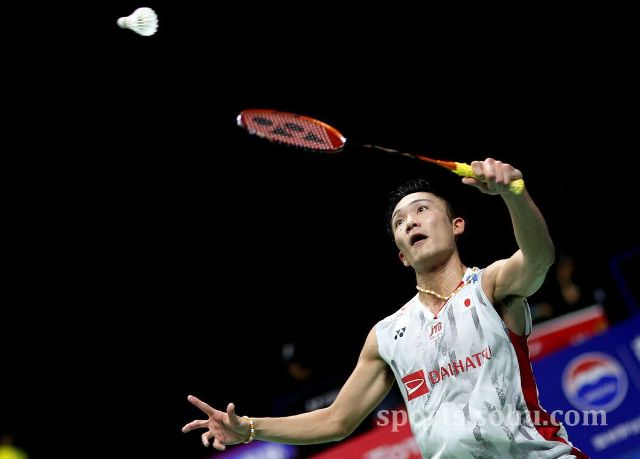 上罕见的高 上罕见的高