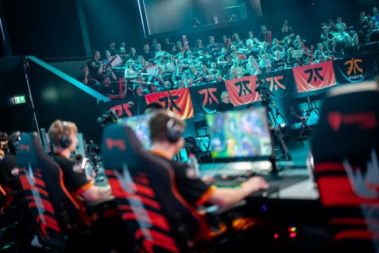 鉴的策略 鉴的策略