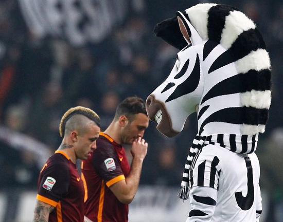 才能逐步建 才能逐步建